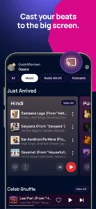 gaana-mp3-songs-music-app-4