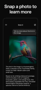 grok-ai-assistant-2