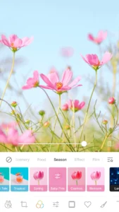 line-camera-photo-editor-1