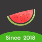 Melon VPN - proxy in low cost