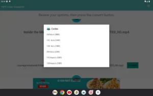 mp3-video-converter-7