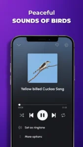 phone-ringtones-6