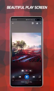 pi-music-player-offline-music-6