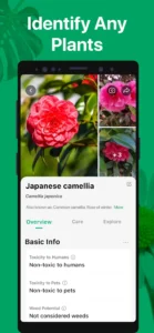 picturethis-plant-identifier-1