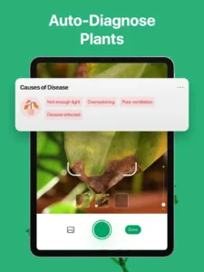 picturethis-plant-identifier-11