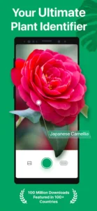picturethis-plant-identifier