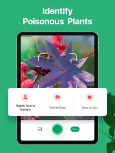 picturethis-plant-identifier-21
