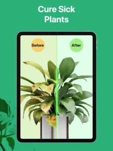 picturethis-plant-identifier-22