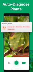 picturethis-plant-identifier-3