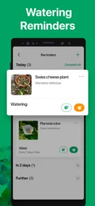 picturethis-plant-identifier-4