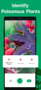 picturethis-plant-identifier-5