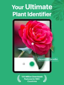 picturethis-plant-identifier-8