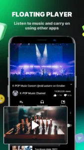 pure-tuber-video-mp3-player-6