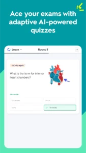 quizlet-study-with-flashcards-11