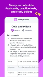 quizlet-study-with-flashcards-2