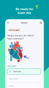 quizlet-study-with-flashcards-3