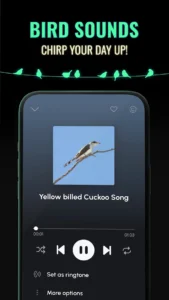 ringtones-for-android-4