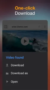 video-downloader