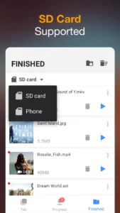 video-downloader-3