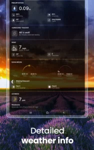 weather-live-19