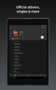 youtube-music-4