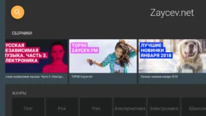 zaycevnet-music-for-everyone-18